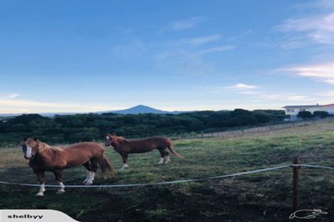 Photo of property in 8 Jersey Place, Bell Block, New Plymouth, 4312