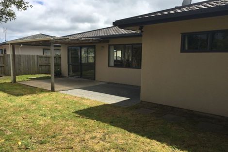 Photo of property in 49 Solomon Street, Brookfield, Tauranga, 3110