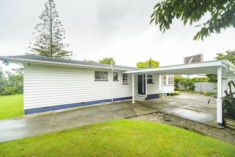 Photo of property in 45 Worcester Street, Ashhurst, 4810