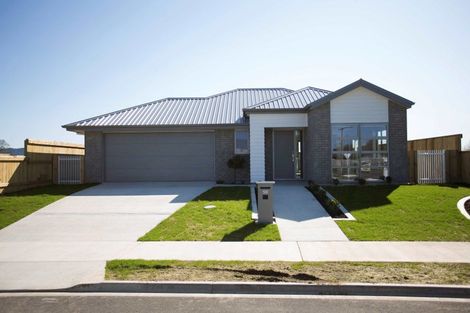 Photo of property in 59 Hampton Terrace, Matamata, 3400