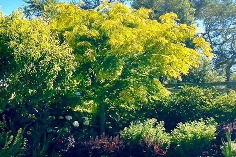 Photo of property in 87 Corbetts Road, Springston, Christchurch, 7677