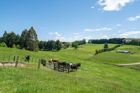 Photo of property in 483 Palmer Mill Road, Wairakei, Taupo, 3384