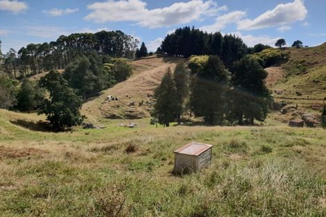 Photo of property in 182 Ohautira Road, Raglan, 3295