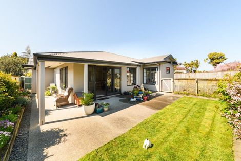 Photo of property in 9 Victoria Court, Feilding, 4702