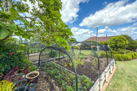 Photo of property in 208 Saint Patricks Row, Thames, 3500