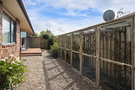 Photo of property in 34b Park Road, Katikati, 3129
