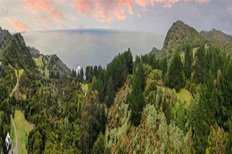 Photo of property in 556 Boat Harbour Road, Whenuakite, Whitianga, 3591