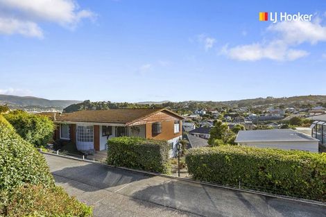 Photo of property in 20b Arawa Street, Tainui, Dunedin, 9013