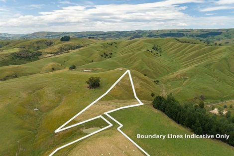 Photo of property in 261 Millars Road, Longbush, 5792