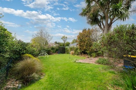 Photo of property in 55 English Avenue, Mornington, Dunedin, 9011
