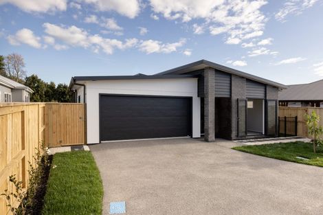 Photo of property in 11d Western Avenue, Omokoroa, 3114