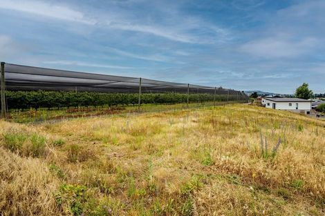 Photo of property in 19a Missy Crescent, Mount Pisa, Cromwell, 9383