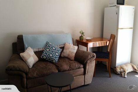 Photo of property in 23a Elizabeth Place, Ferndale, New Plymouth, 4310