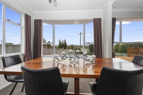 Photo of property in 12 Terrace Street, Putaruru, 3411