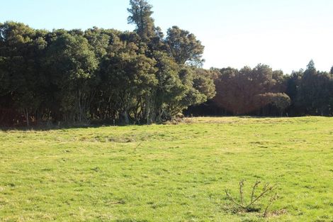 Photo of property in Matapuna Road, Horopito, Raetihi, 4696