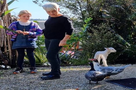 Photo of property in 3a Braemar Place, Nelson South, Nelson, 7010