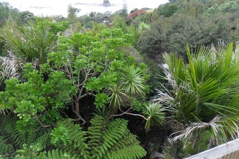 Photo of property in 103 Leigh Road, Leigh, 0985