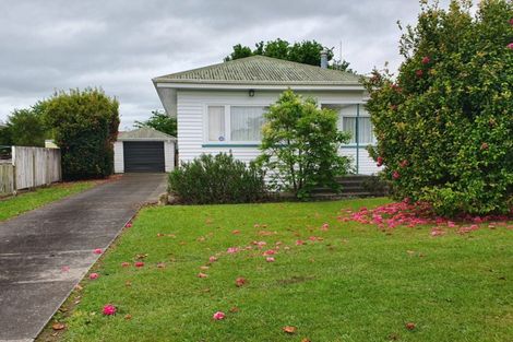 Photo of property in 20 Bracken Avenue, Te Aroha, 3320