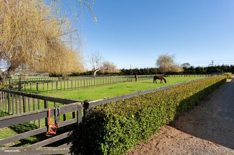 Photo of property in 78 Tower Road, Matamata, 3471