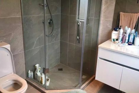 Photo of property in 21 Timmer Road, Flat Bush, Auckland, 2019