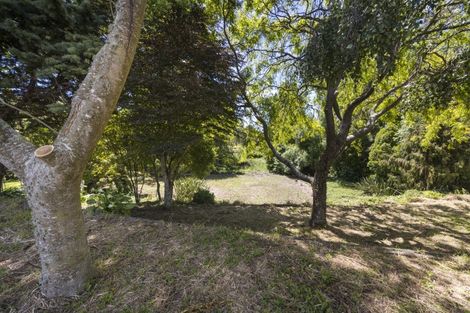 Photo of property in 165c Victoria Avenue, Hokowhitu, Palmerston North, 4410