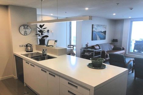 Photo of property in Republic Apartments, 6c/11 Tennyson Street, Te Aro, Wellington, 6011