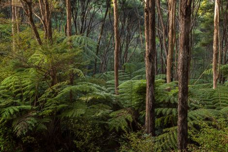 Photo of property in 182b Forest Hill Road, Waiatarua, Auckland, 0612