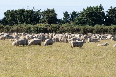 Photo of property in 22 Taverners Road, Dromore, Ashburton, 7772