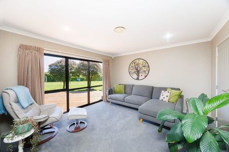 Photo of property in 93 Mount Taylor Drive, Feilding, 4775