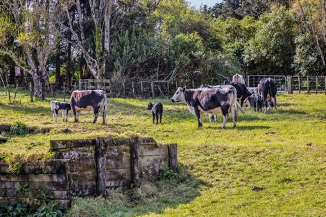 Photo of property in 311 Croydon Road, Midhirst, Stratford, 4394