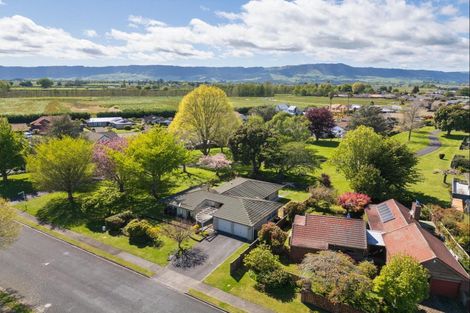 Photo of property in 17 Weka Street, Matamata, 3400