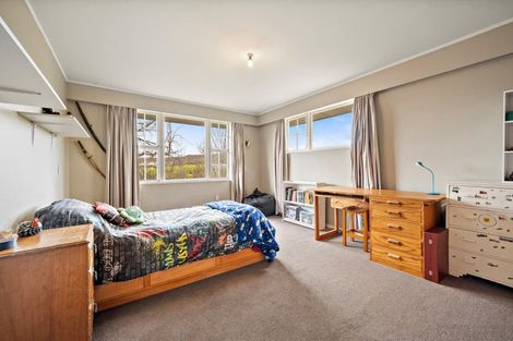 Photo of property in 217 Manuherikia Road, Springvale, Alexandra, 9393
