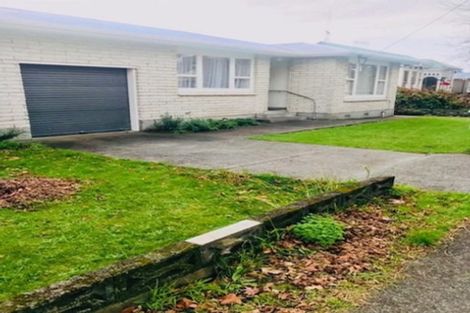 Photo of property in 149 Winchester Street, Levin, 5510