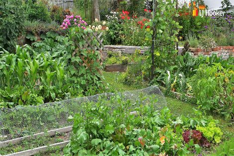 Photo of property in 24 Roseness Street, Palmerston, 9430