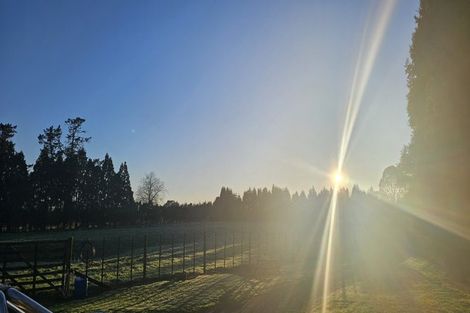 Photo of property in 275b Glue Pot Road, Oropi, Tauranga, 3173