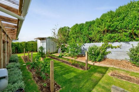 Photo of property in 16 Ponderosa Place, Opunake, 4616