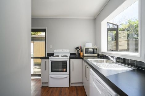 Photo of property in 27a Vernon Avenue, Takaro, Palmerston North, 4412