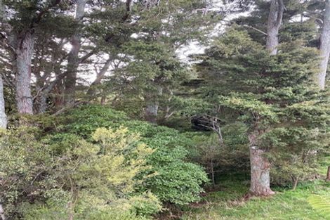 Photo of property in 87 Kopuku Road, Waerenga, Te Kauwhata, 3781