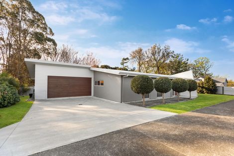 Photo of property in 20 Sequoia Place, Morrinsville, 3300