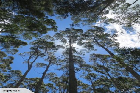 Photo of property in 59 Harbour View Rise, Mangonui, 0494