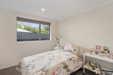 Photo of property in 22a Heaphy Street, Richmond, 7020