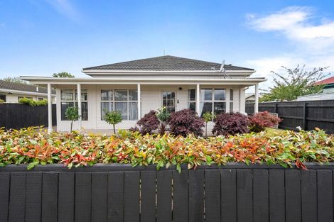 Photo of property in 7 Millar Street, Terrace End, Palmerston North, 4410