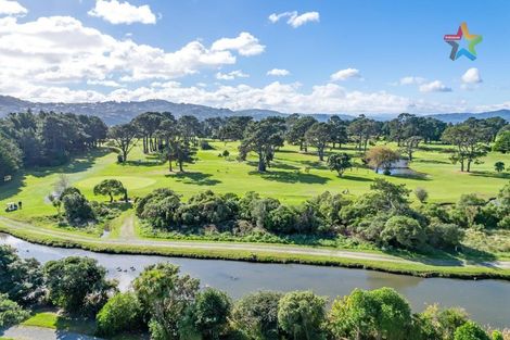 Photo of property in 25 Te Ara O Paetutu, Petone, Lower Hutt, 5012