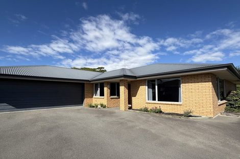 Photo of property in 17a Mitchell Street, Redwoodtown, Blenheim, 7201