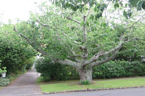 Photo of property in 4 Bingley Avenue, Epsom, Auckland, 1023
