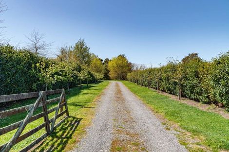 Photo of property in 213 Te Whiti Road, Homebush, Masterton, 5885