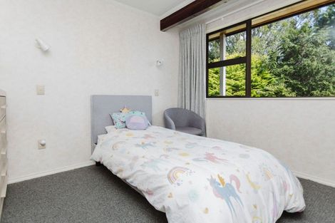 Photo of property in 134b Tipapakuku Road, Dannevirke, 4930