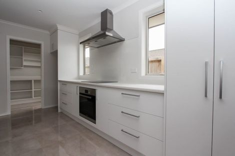 Photo of property in 238 Dixon Road, Fitzroy, Hamilton, 3206