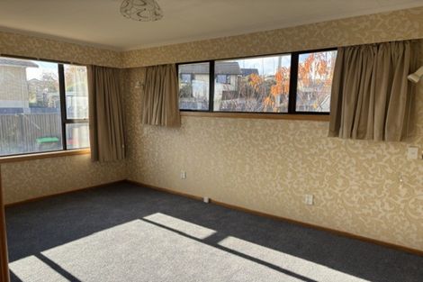 Photo of property in 17 Fox Street, Alexandra, 9320