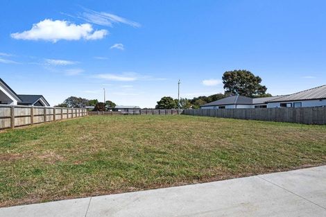 Photo of property in 101 Waikirikiri Avenue, Lincoln, 7608